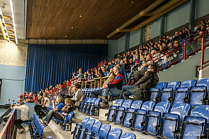 Sirius - Caperiotäby