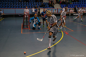 Sirius - Caperiotäby