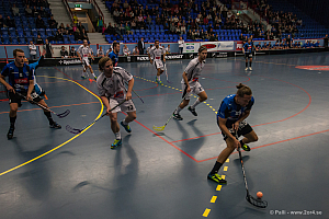 Sirius - Caperiotäby