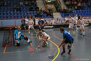 Sirius - Caperiotäby