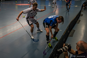 Sirius - Caperiotäby