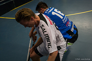 Sirius - Caperiotäby