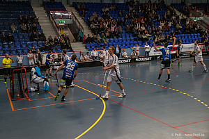 Sirius - Caperiotäby