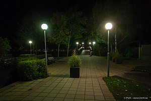 Sirius - Caperiotäby