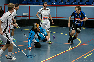 Sirius - Caperiotäby