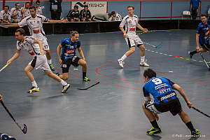 Sirius - Caperiotäby