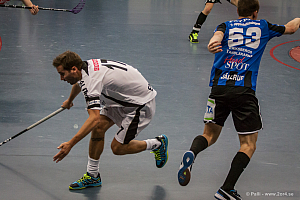 Sirius - Caperiotäby