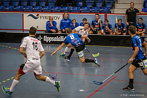 Sirius - Caperiotäby