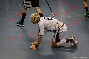 Sirius - Caperiotäby