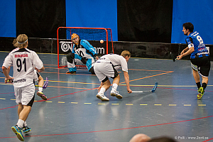 Sirius - Caperiotäby