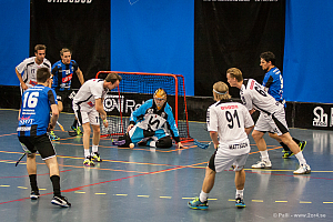 Sirius - Caperiotäby