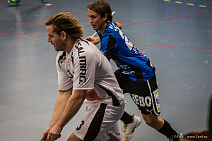 Sirius - Caperiotäby