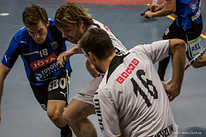 Sirius - Caperiotäby