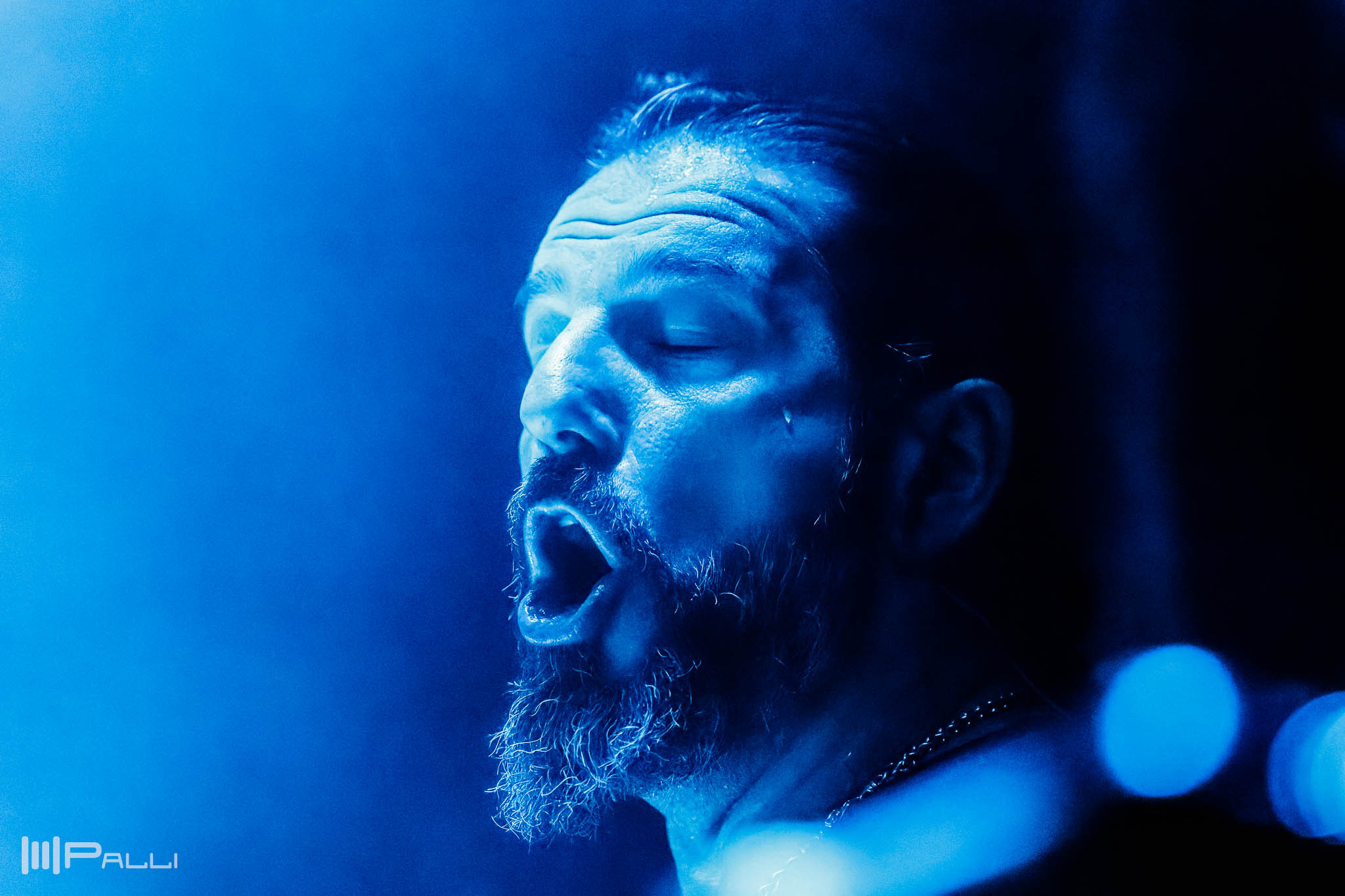 Ett magninfikt, grekiskt hårdmetallband.7 oktober 2021.